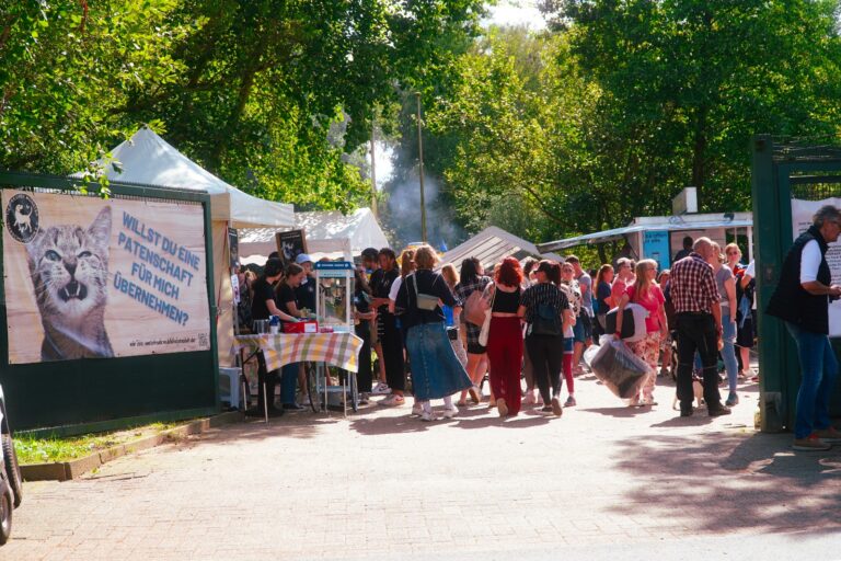 Sommerfest — 2024