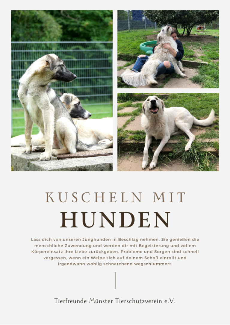 Unsere Auktion auf dem Sommerfest