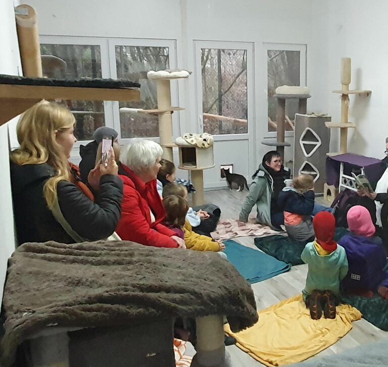 Tierheimbescherung mit Lesung, Geschenken und Spenden