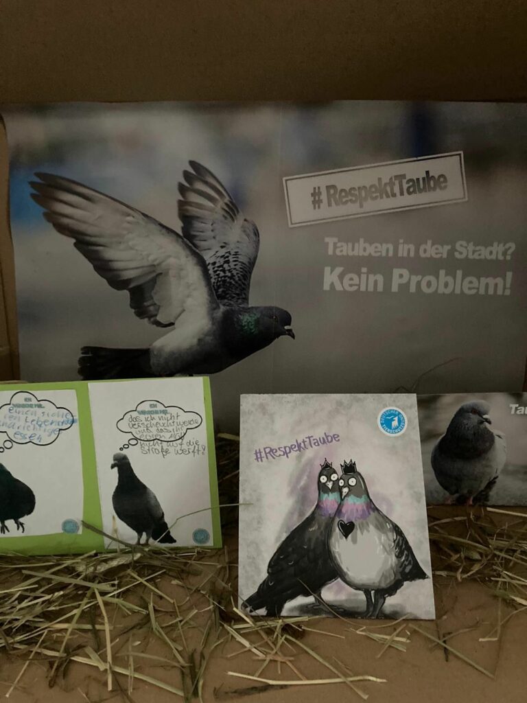 Jugendgruppe klärt über Stadttauben auf