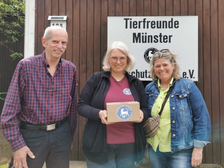 Spende statt Geschenke