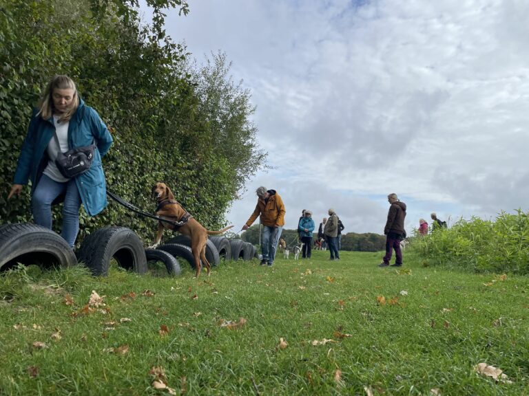 Wunsch erfüllt: Hunde-Fitness-Wanderung
