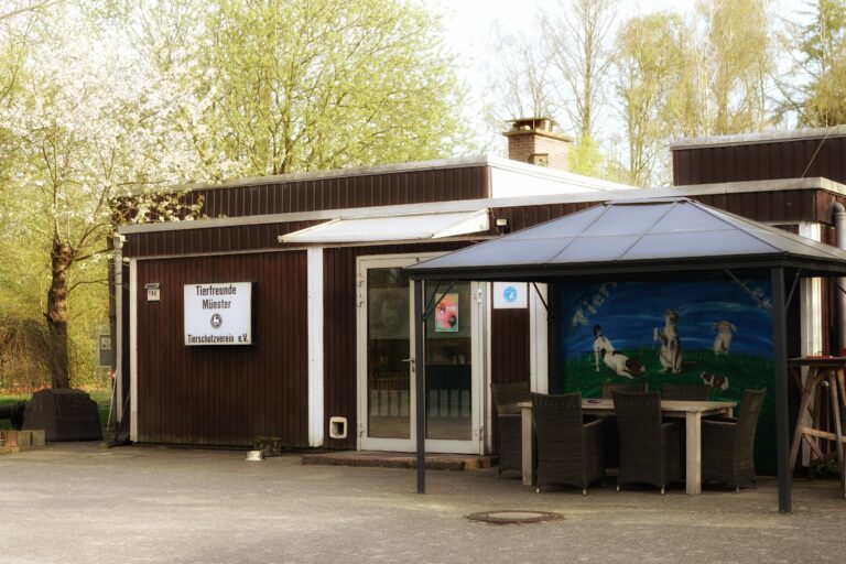 Live im Radio: Tierfreunde Münster zu Gast bei der Studiowelle Hiltrup