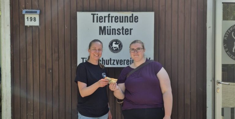 Flohmarktverkauf für den guten Zweck