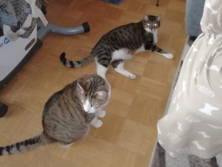 Stiefelchen und Weissi