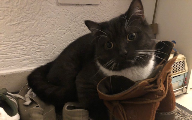 Henry