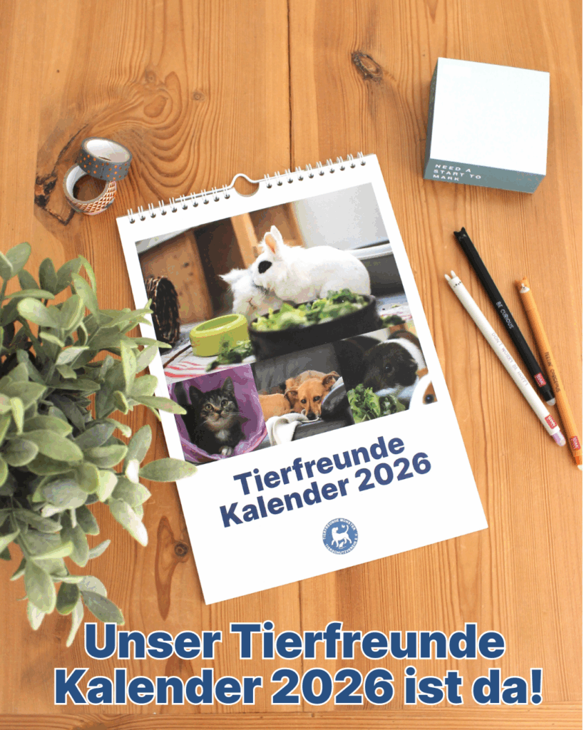 Hinweis auf unserer Tierfreunde Kalender 2026