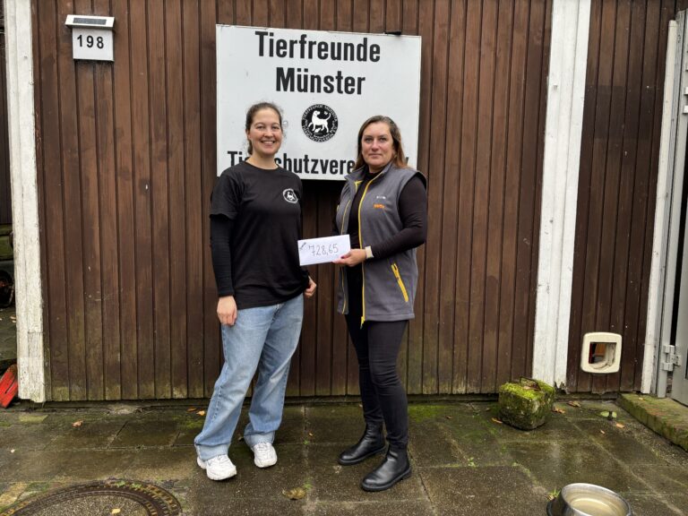 Netto-Azubis backen Waffeln und spenden den Erlös