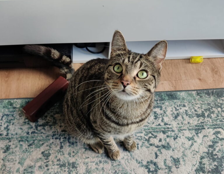Leo