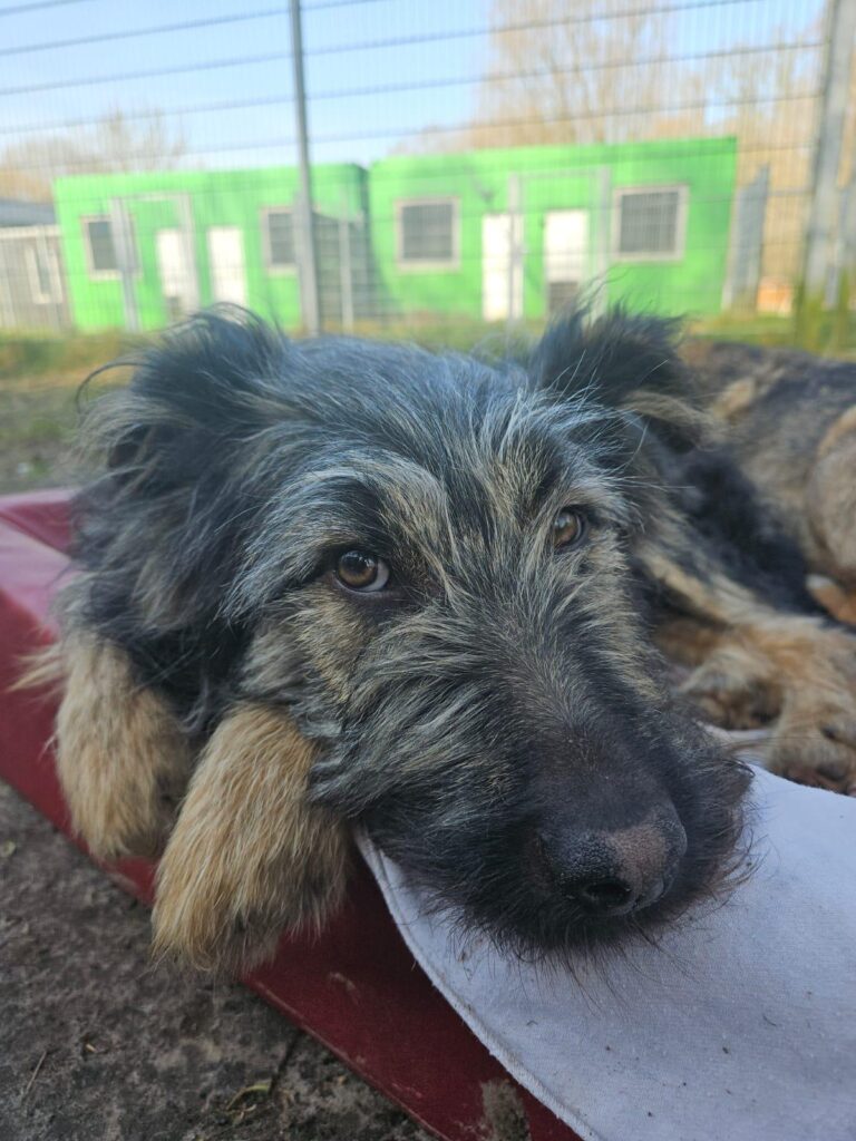Malko