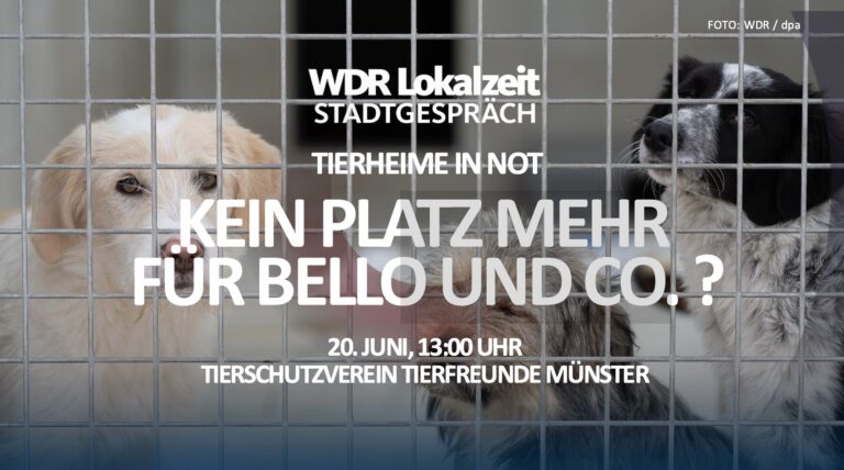 WDR5 Stadtgespräch im Tierheim der Tierfreunde Münster