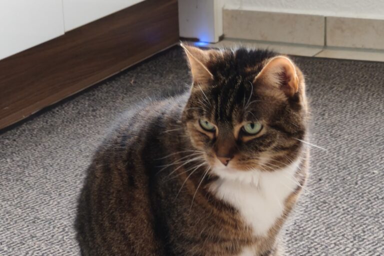 Minka